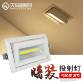 ld旋转度嵌入式 方形天wwww门头招牌象鼻灯