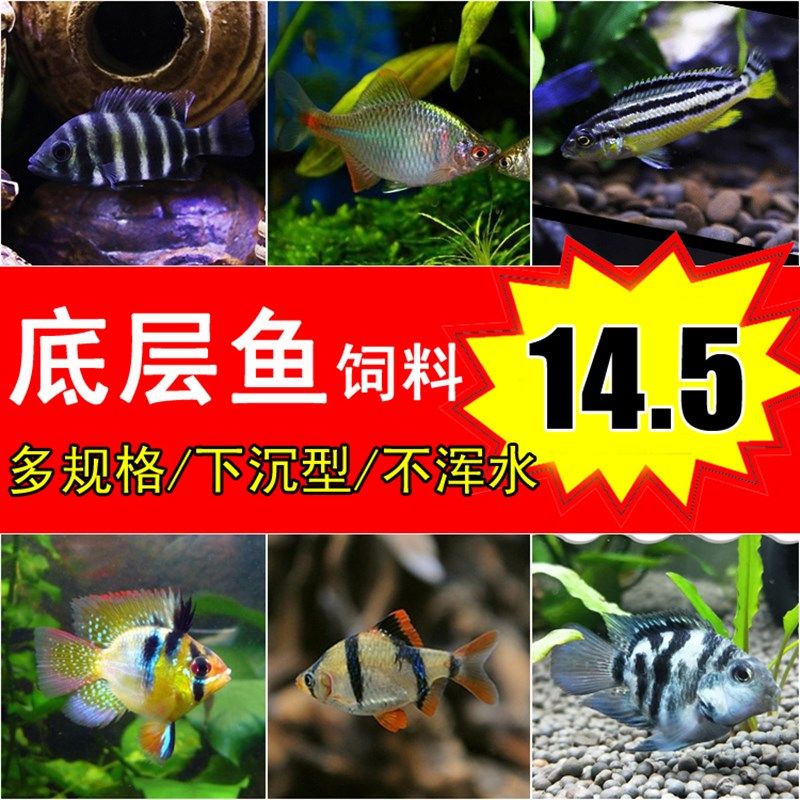 底层鱼饲料三湖慈鲷鱼鳑鲏鱼迷你鹦鹉鱼金波子虾虎缓沉下沉型鱼食