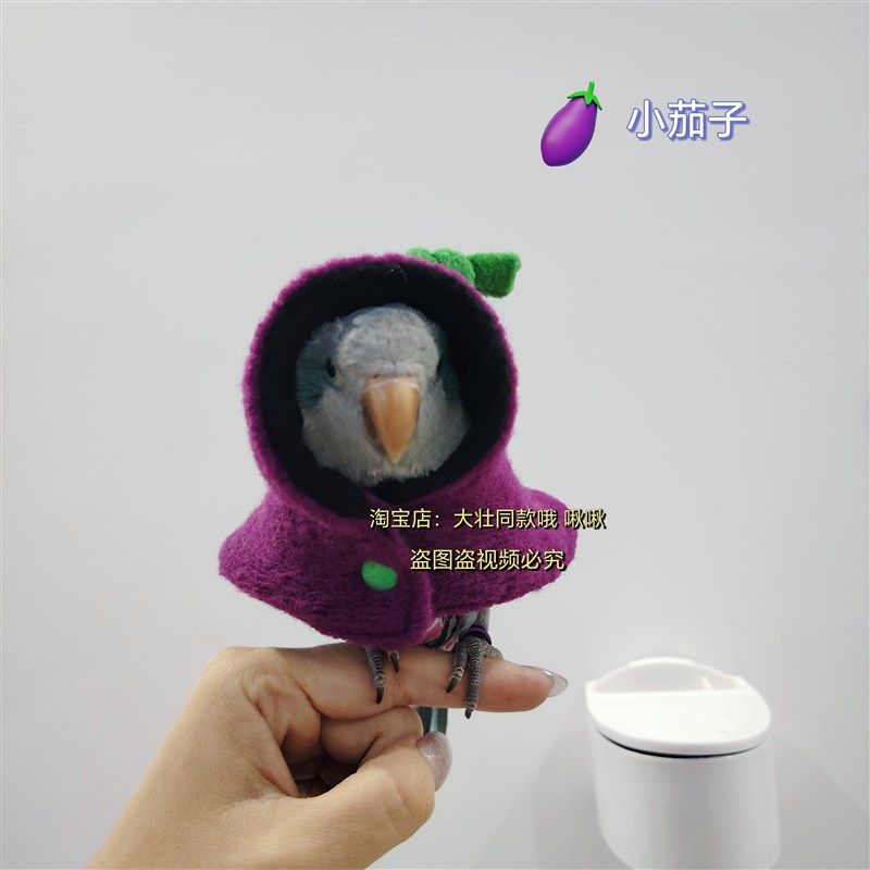 小茄子款鹦鹉披风斗篷鸟衣服鹦鹉披风玄凤加厚保暖外出服鹦鹉用品,宠物/宠物食品及用品,鸟禽服饰,淘宝优惠券,粉丝福利购,淘宝优惠卷