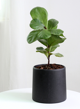 北欧水泥黑色花盆小创意琴叶榕套盆陶土简约透气绿植兰花大号陶盆