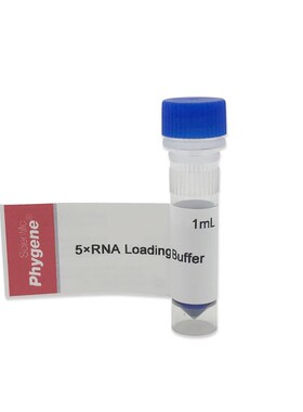 N上样缓冲液加样缓冲 N Loding uffe [H HGENE]