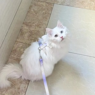 猫咪牵引绳外出防挣脱可爱翅膀调节宠物小型链子狗狗背带绳子