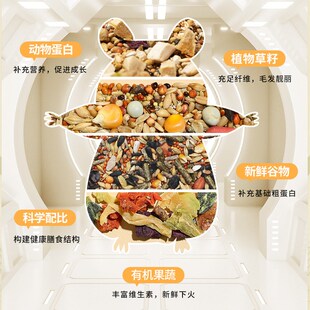 年老工厂诺比利仓鼠粮食冻干营养