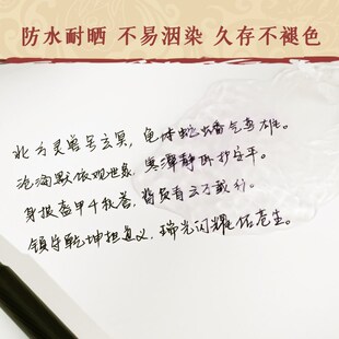 鸵鸟铁胆墨水鞣酸亚铁蓝黑防水堵笔钢笔用非碳素铁素档案级复古