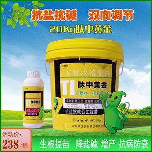 盐碱地土壤改良剂肥抗盐抗碱星向调节生根提苗促生长农用