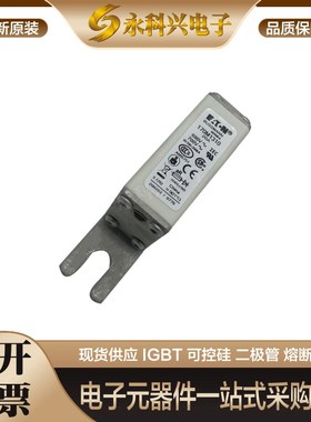 umnn熔断器M M 9 低压熔断器保险丝