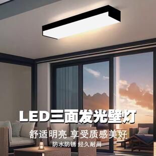 IP65防水极简户外壁灯 LED长条吸顶壁灯 适用庭院大门简约现代风