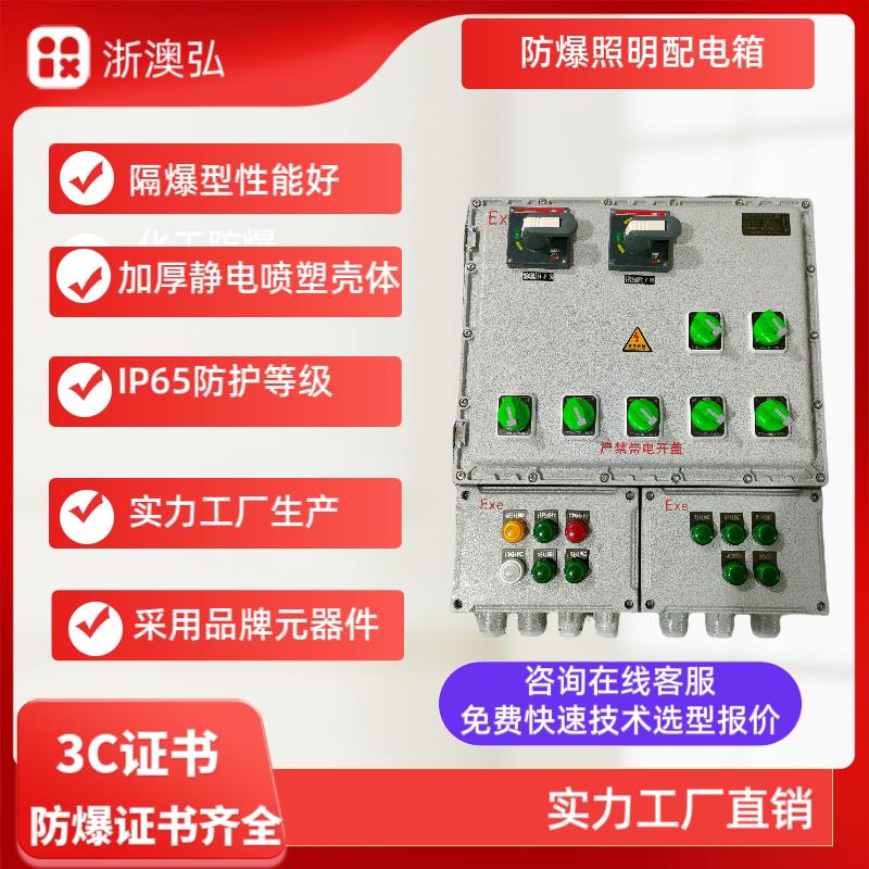 防爆照明配电箱电源开关箱动力控制箱应急集中电源箱电伴热接线箱