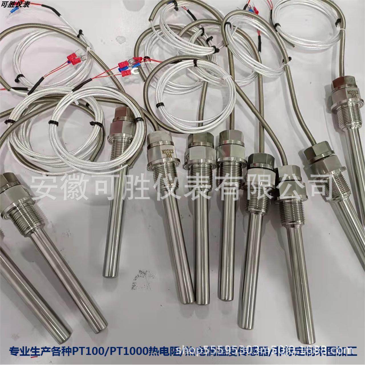 电厂专用轴瓦测温PT100热电阻PT1000温度感测器热电偶WZPK230/201