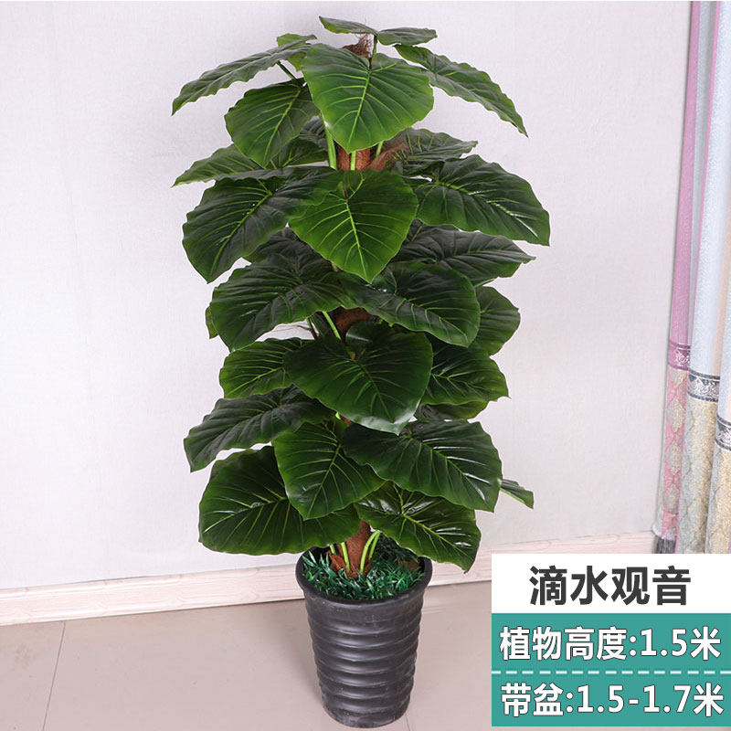 仿真滴水观音盆景防真客厅假树装饰室内大型绿植