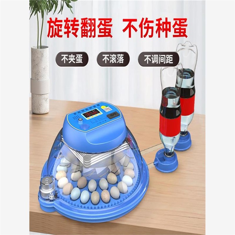 小飞碟孵化器小型全自动智能鸟蛋芦丁小鸡孵蛋器孵化箱孵化