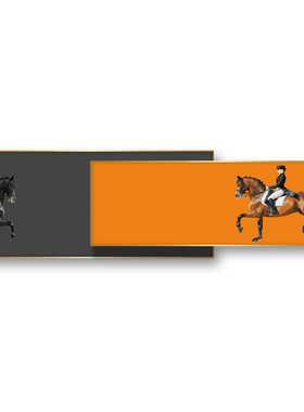 现代客厅装饰画大气爱马橙色卧室横幅挂画北欧沙发背景墙叠加挂画