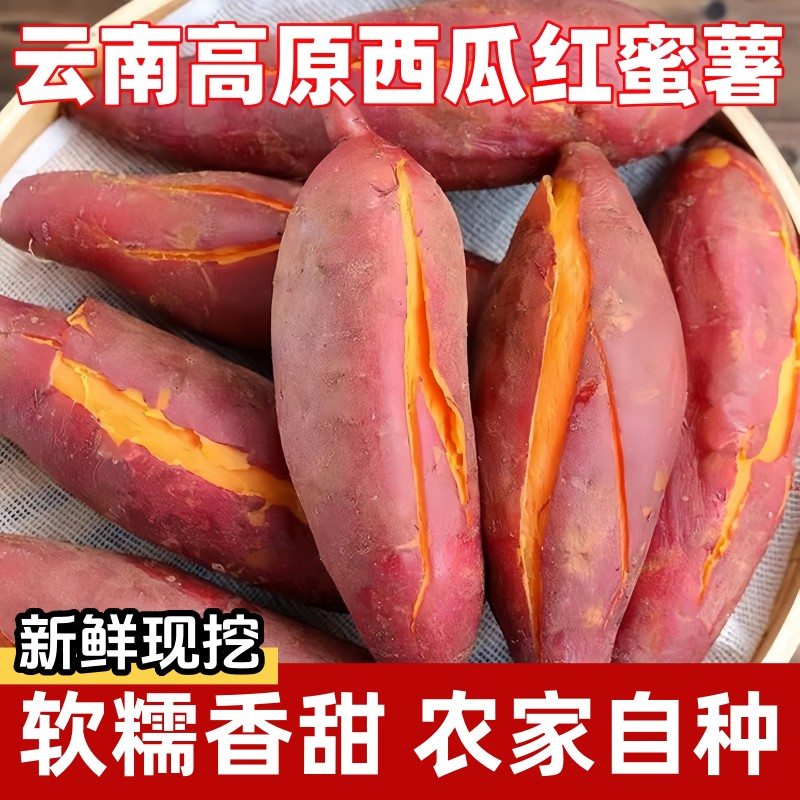 软糯香甜正宗沙地西瓜红蜜薯红心番薯地瓜农家自种代餐辅食蔬菜