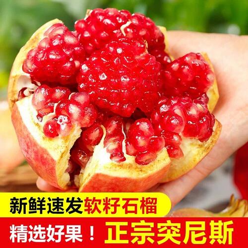 涵涵专属四川会理软籽石榴净重3/4.5/8斤鲜甜多汁
