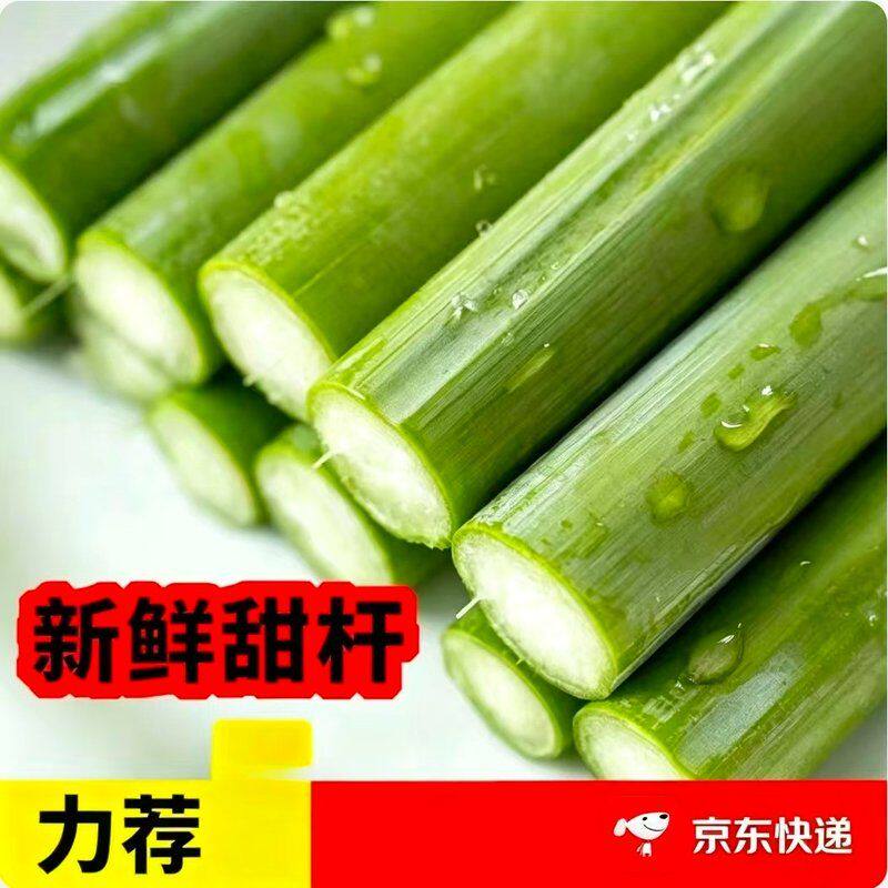新鲜脆甜东北特产甜杆 甜芦粟 现砍现发 送货上门1