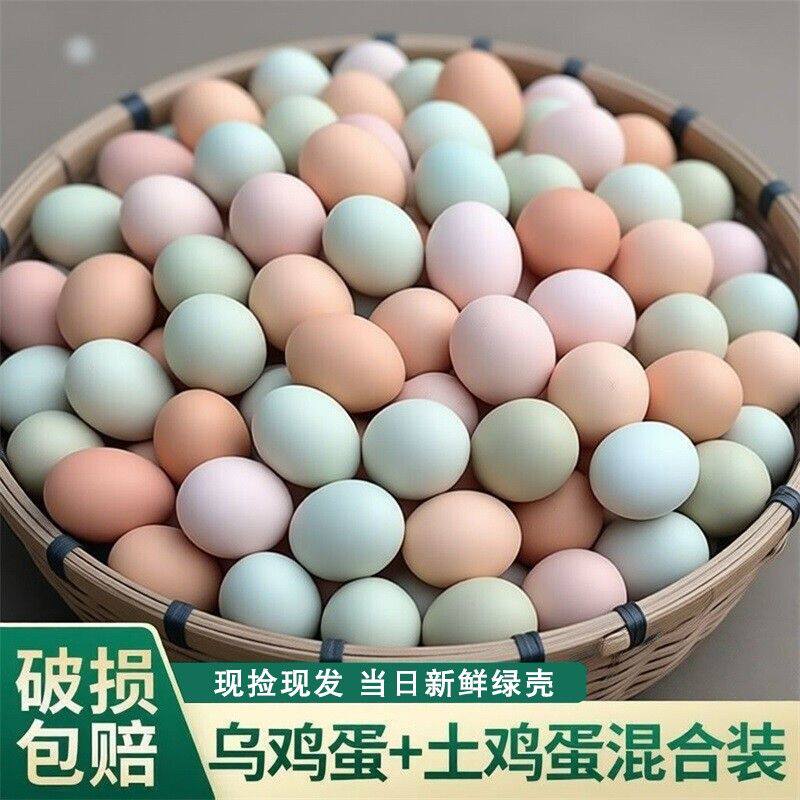 混合装绿壳乌鸡蛋土鸡蛋农家散养混装新鲜鸡蛋