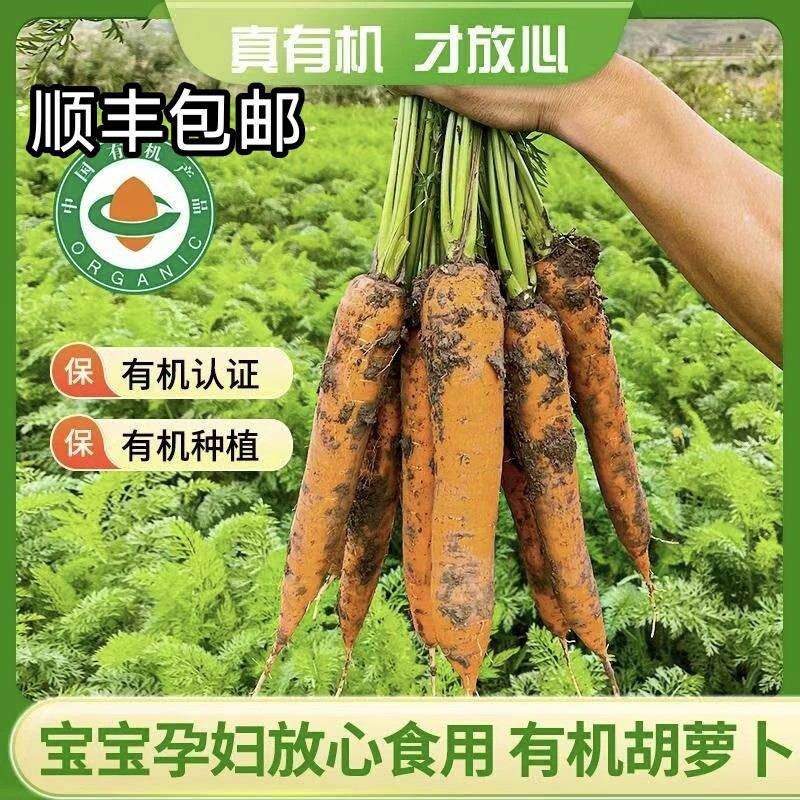 顺丰包邮内蒙古后窑子有机胡萝卜无农残新鲜带泥3斤/5斤/10斤装