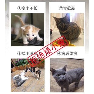 宠宝胖猫增肥猫咪发腮粉维生素猫发育宝催肥猫消化酶宠物猫营养品