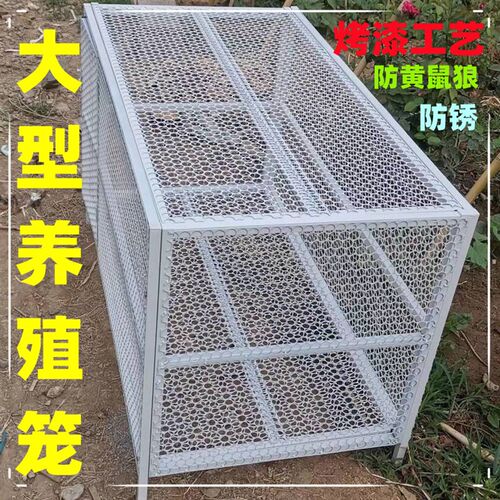 养殖鸡笼鸽笼猫笼兔笼狗笼防黄鼠狼防耗子老鼠烤漆不生锈大型笼子