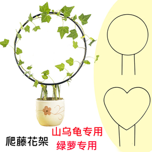 铁艺造型爬藤架防倒支撑架支架山乌龟花盆阳台绿植盆景架雪莹花架