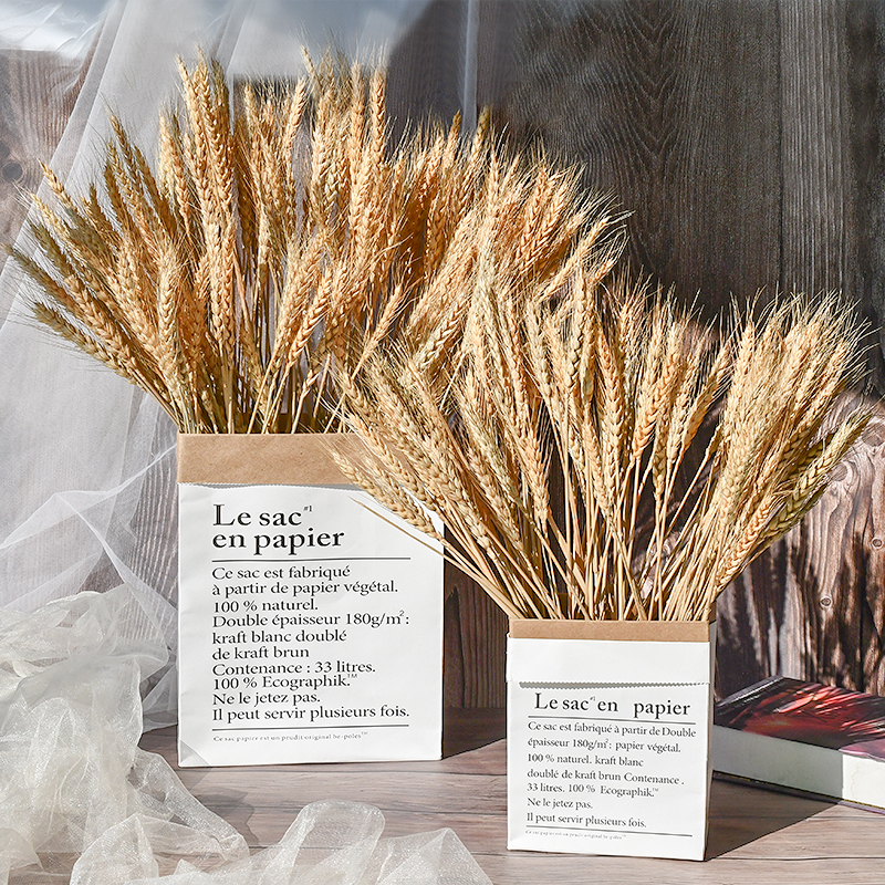 麦穗装饰摆件干花花束天然开业大麦田园客厅拍摄道具稻穗真花小麦