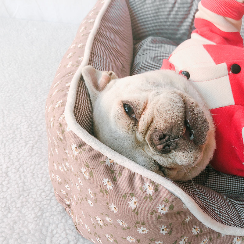 狗窝小中型犬窝可拆洗柯基法斗泰迪冬季保暖网红猫窝四季通用宠物,宠物/宠物食品及用品,狗窝/屋/帐篷/沙发,淘宝优惠券,粉丝福利购,淘宝优惠卷