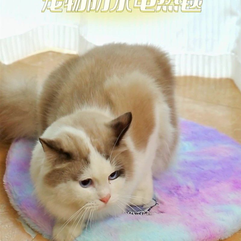 宠物专用电热毯宠物恒温加热垫猫用电热毯小狗加热窝大号防咬防水,宠物/宠物食品及用品,宠物电热板/电热毯,淘宝优惠券,粉丝福利购,淘宝优惠卷