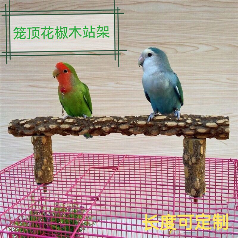 花椒木站棍 鸟笼顶架子 灰鹦鹉站架虎皮牡丹鸟架磨爪站杠图片