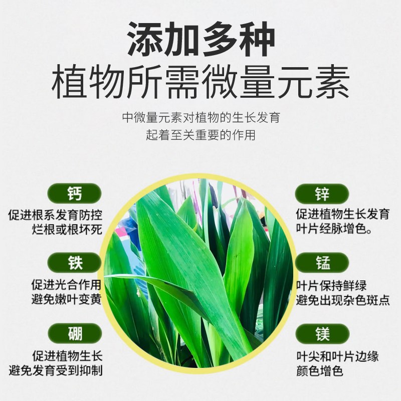 一叶兰专用肥料浓缩营养液覆合肥室内大叶盆栽绿植观叶植物花肥