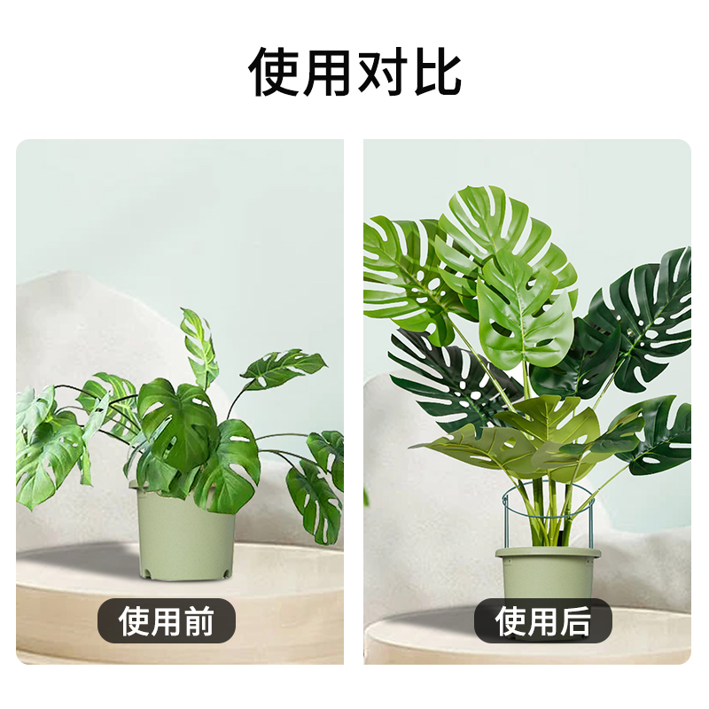 铁艺花架植物支撑半圆蟹爪兰绣球月季绿植爬藤植物花支架固定护叶
