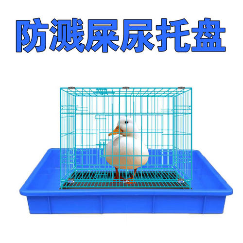 柯尔鸭子小鸡笼子加高托盘防溅尿接尿粪便托盘外围板挡板垫料用品