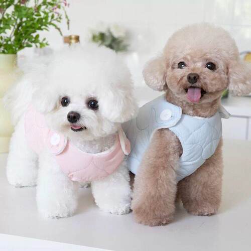 短款马甲棉衣狗衣服冬装保暖泰迪比熊博美小型犬小狗猫宠物秋冬季