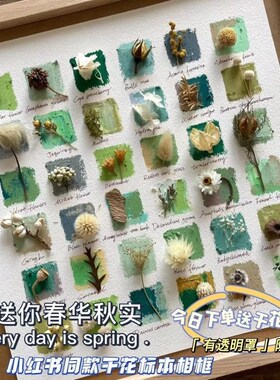 植物标本收集册树叶收集册干燥花相框成品树叶标本相框画框摆件di
