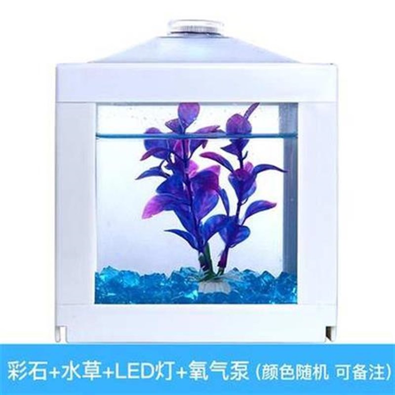 桌面鱼缸家用创意小型可爱透明网红办公室龟粮简单好玩台式图片