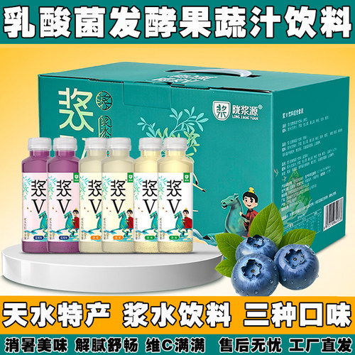 陇浆源 浆V发酵复合果蔬汁饮料解腻酵素果汁浆水饮品甘肃特产