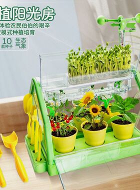 学优马阳光房种植儿童种菜玩具科学实验G盆栽手工diy材料植物花房