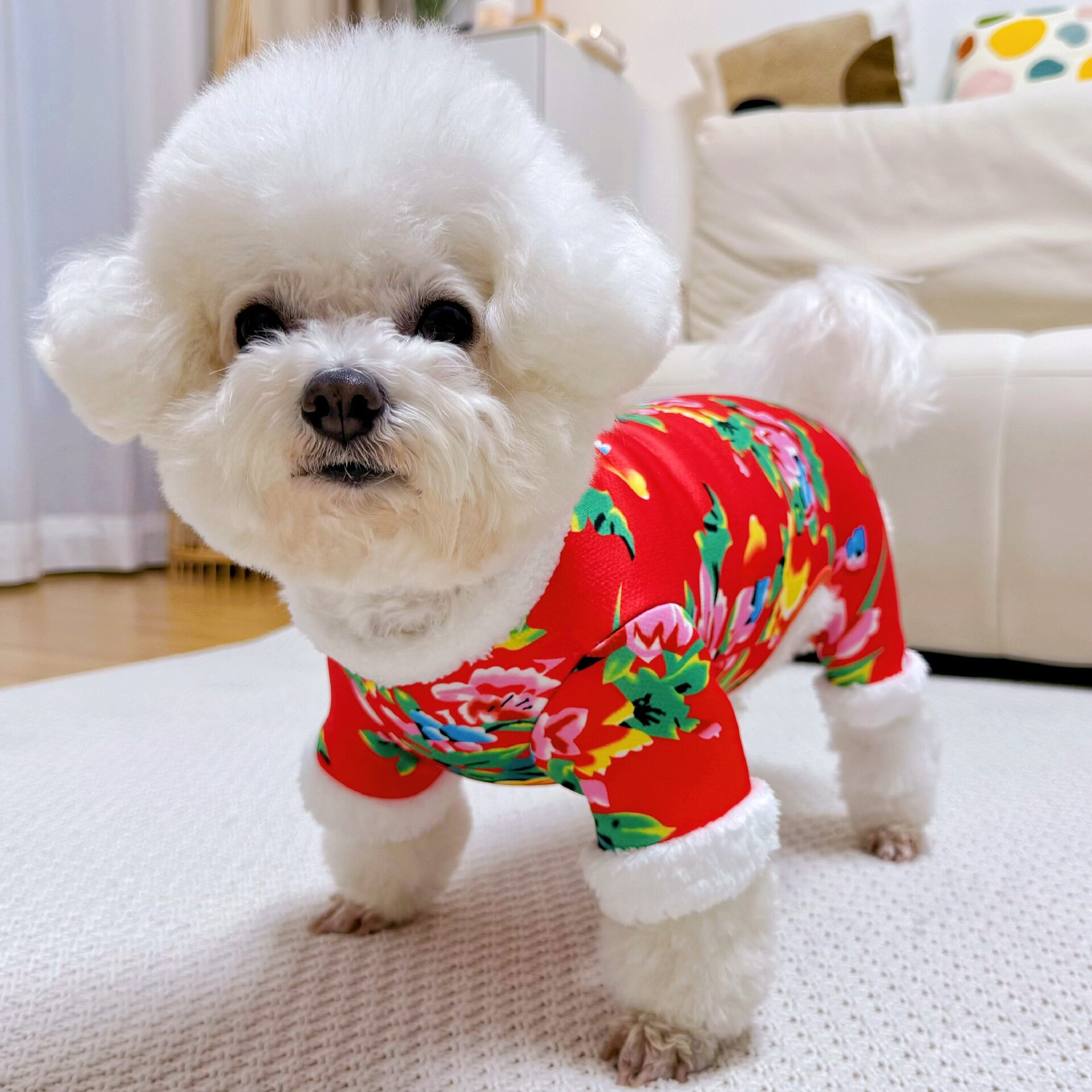 宠物狗狗猫咪冬季保暖喜庆东北大花袄小中大型犬适用柯基金毛比熊