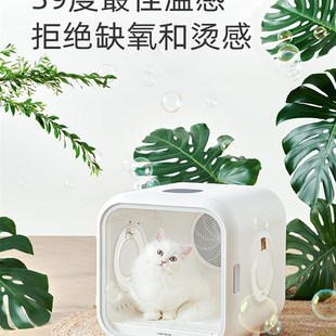 有感冻干宠物烘干箱全自动猫咪吹风机狗狗洗澡吹毛神器吹水机静音