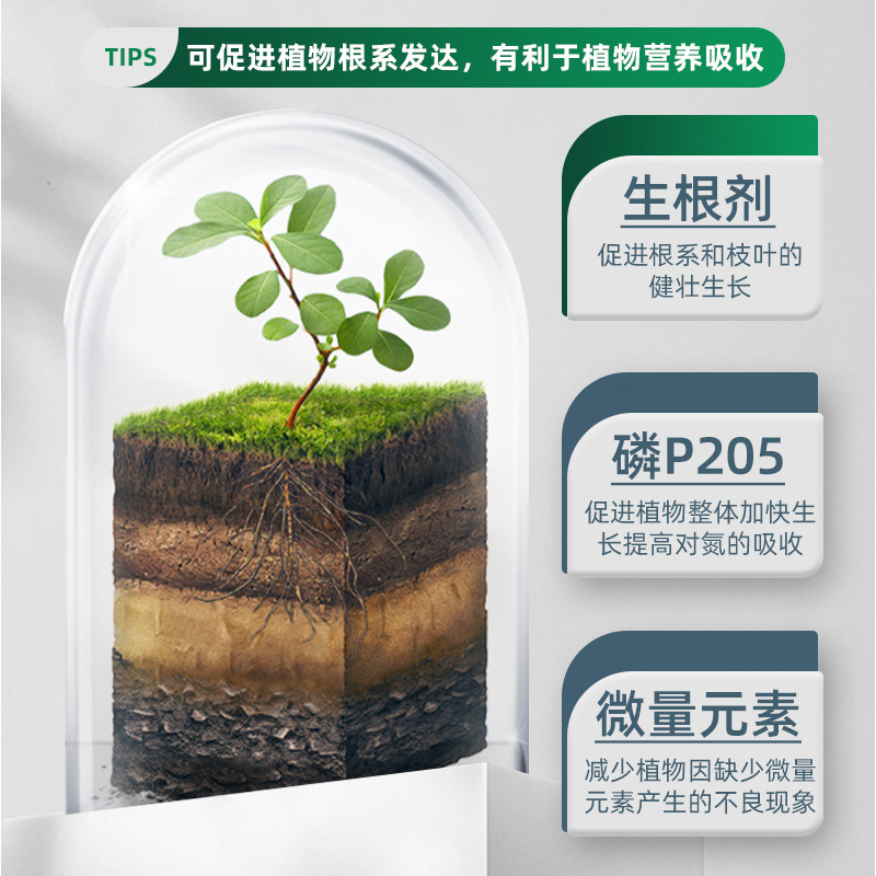 营养液快速生根强力生根粉植物通用树木壮苗生根剂扦插多肉液移栽