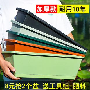 阳台长方形种菜盆种菜神器家庭阳台蔬菜草莓盆栽箱特大号花盆