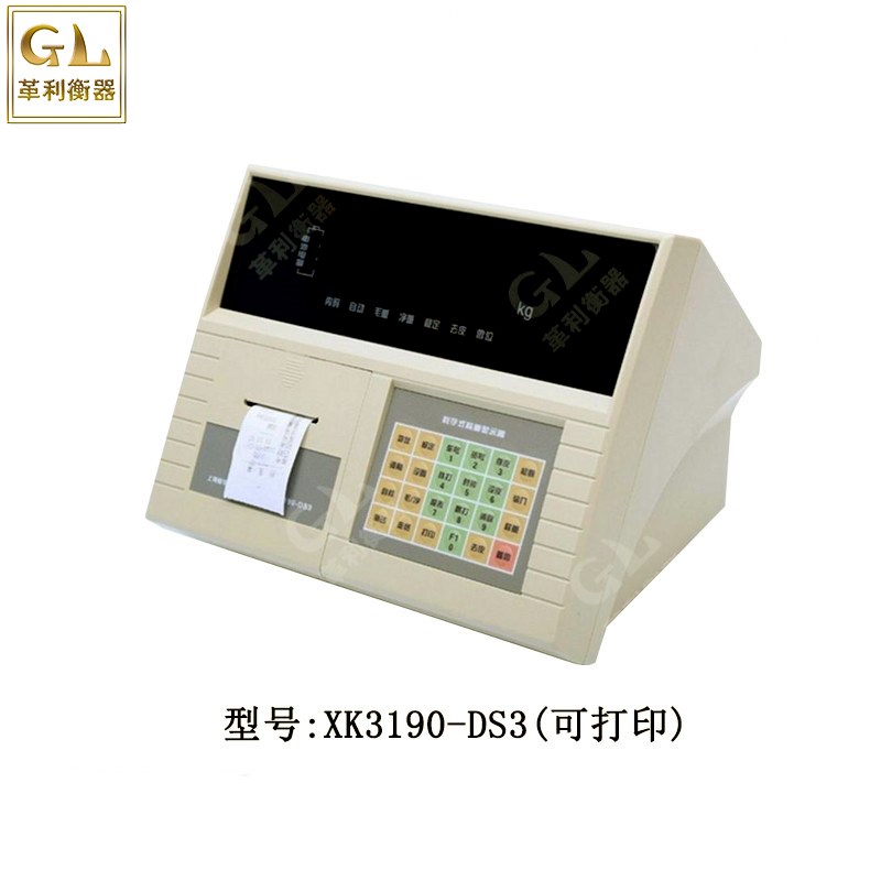 耀华XK3190-DS3称重显示器地磅仪表可打印数字式称重显示器表头