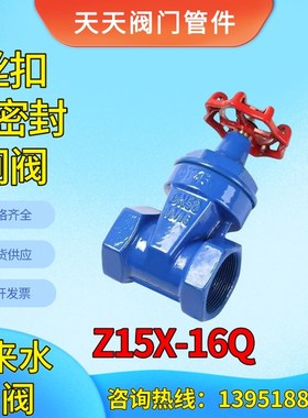 自来水阀门开关表前阀丝扣软密封闸阀丝口带锁磁性机械锁橡胶螺纹