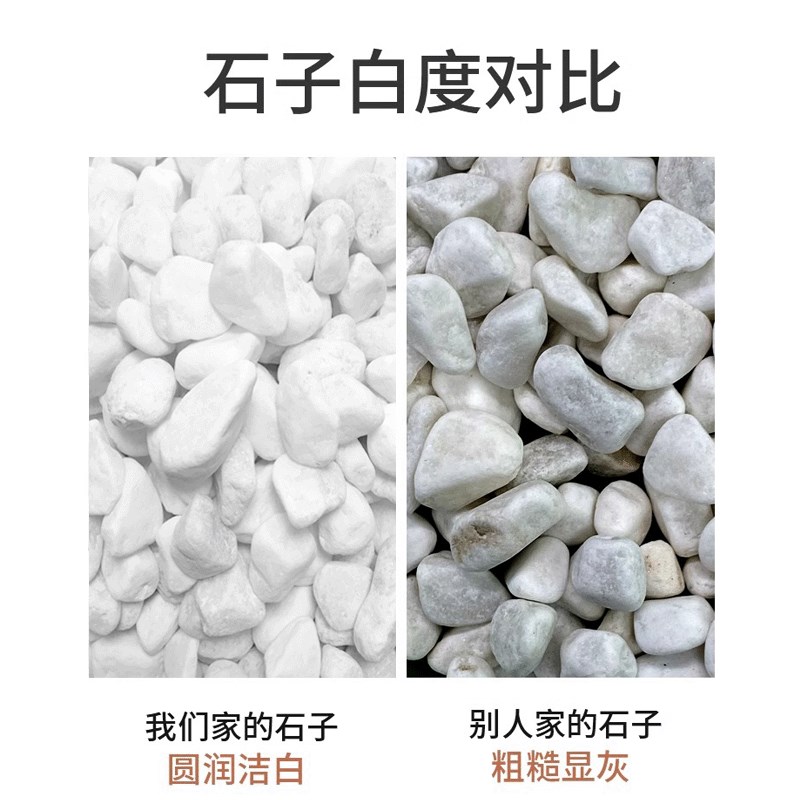 40斤白色石头大鹅卵石水洗石庭院铺地舖路花园盆栽鱼缸装饰白石子