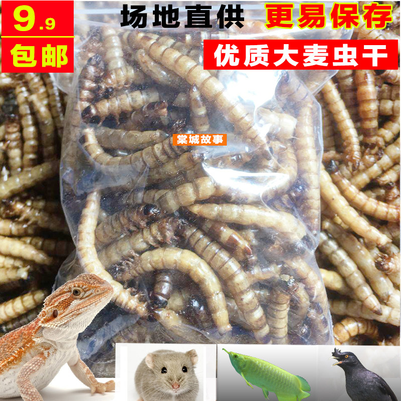 大麦虫干黄粉虫面包虫干仓鼠粮食金丝熊零食刺猬饲料龟鸟主粮包邮