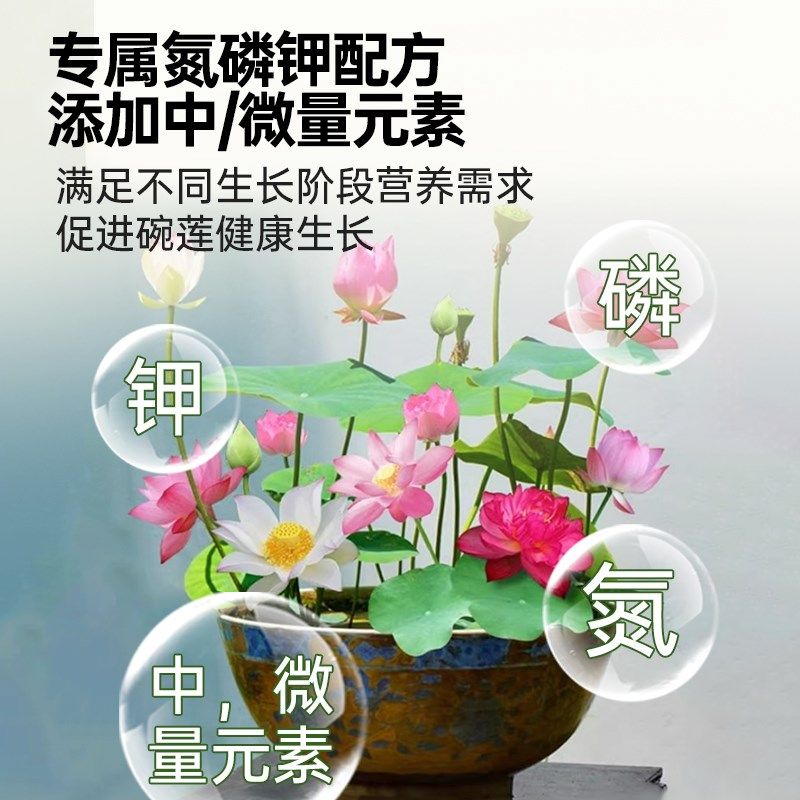 碗莲专用营养液水培植物睡莲肥料荷花开花肥水溶液体肥治黄叶烂根,鲜花速递/花卉仿真/绿植园艺,家庭园艺肥料,淘宝优惠券,粉丝福利购,淘宝优惠卷