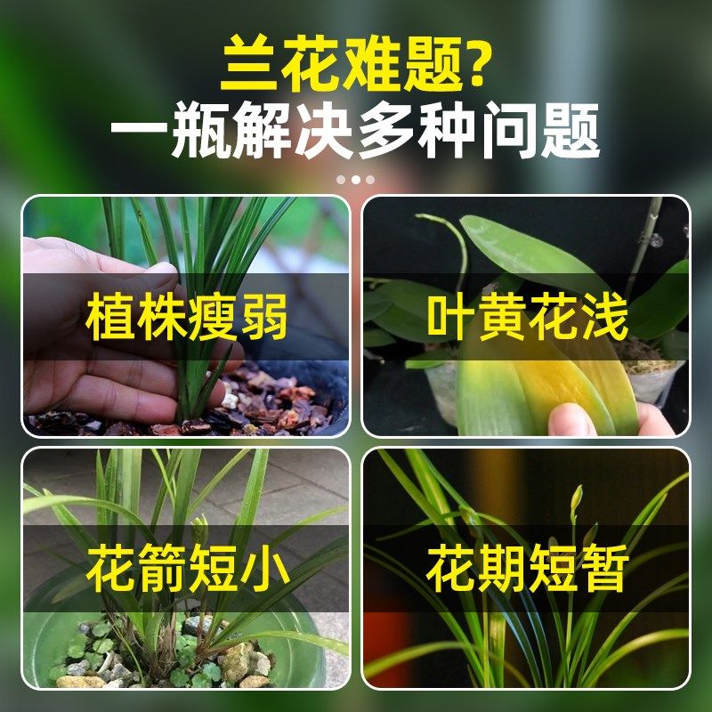 兰花多箭素爆芽开花营养液专用菌肥料促花箭花浓缩液体肥过冬神器,鲜花速递/花卉仿真/绿植园艺,家庭园艺肥料,淘宝优惠券,粉丝福利购,淘宝优惠卷