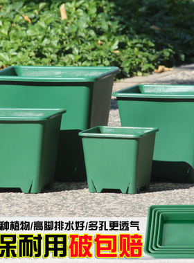 小号大号正方形多肉加仑青山盆月季花盆塑料控根盆简约蓝莓黑方盆