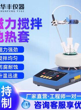 ZNCL型恒温磁力搅拌电热套实验室智能数显精准控温防腐蚀加热套