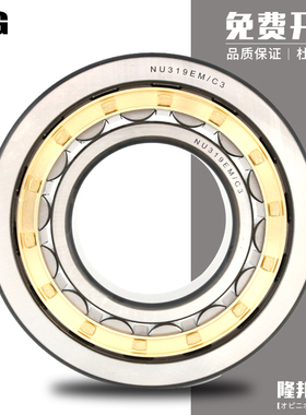德国FAG进口轴承 NU2303 NU2304 NU2305 NU2306 E.M1 E.TVP2.C3