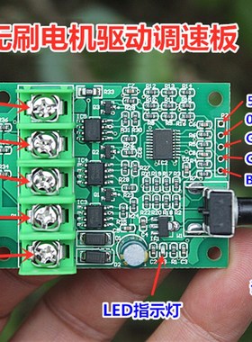 2418/310无刷电机 5V-6V 高速 双滚珠轴K承 微型2418三相无刷马达